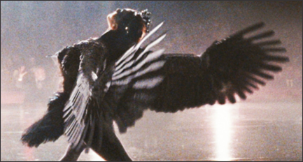 Picture of The Black Swan from the movie the Black Swan